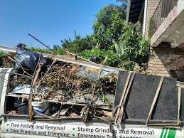 Best Demolition Debris Removal  in Silver Spring, MD